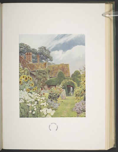 クリーブ プライア、ヒマワリ、「Some English Gardens」のイラスト、George S. Jekzel Elgood & Gertrude Jekyll 作 作： George Samuel Elgood