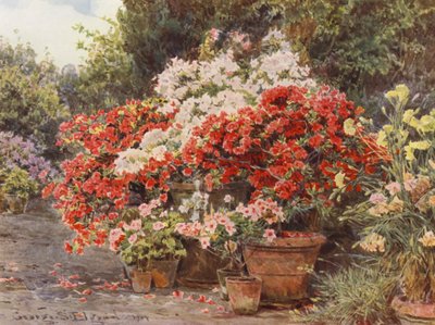 イタリアの庭園アザレア（カラーリトグラフ） 作： George Samuel Elgood
