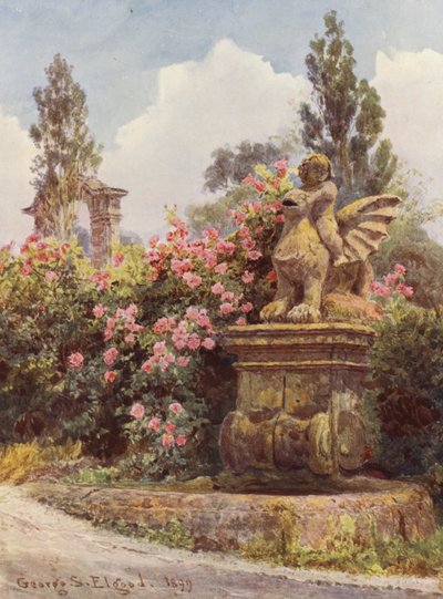 イタリアの庭園チャイナ・ローズ、ヴィラ・インペリアーリ（カラーリトグラフ） 作： George Samuel Elgood