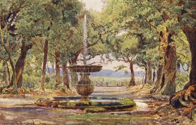 イタリアの庭園：ボスコの噴水、ヴィラ・コンティ（カラーリトグラフ） 作： George Samuel Elgood