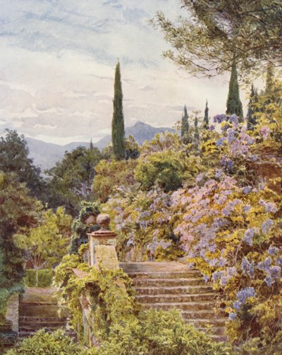 イタリア庭園：ヴィッラ・カヴァニャーロ、ウィスタリア（カラーリトグラフ） 作： George Samuel Elgood