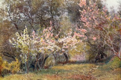  作： George Samuel Elgood