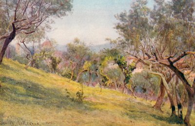 フィレンツェ、オリーブ畑を抜けて（カラーリトグラフ） 作： George Samuel Elgood