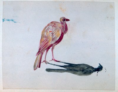 鳥、1820-1876 作： George Sand