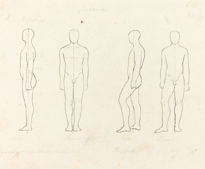 動きの範囲、正面図と側面図は平衡状態で、片足で支えられています 作： George Scharf after John Flaxman