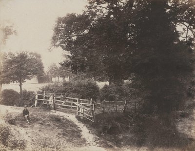 緑の牧草地、1854 年。 作： George Shadbolt