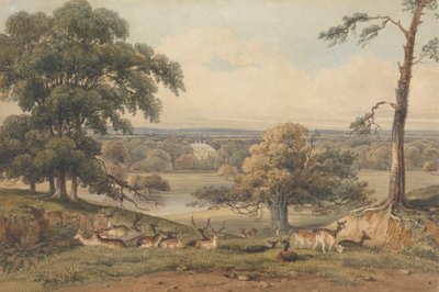 Kaukainen näkymä Ampthill Parkiin 作： George Shepherd