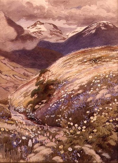 アルプスの花（水彩・紙） 作： George Soper