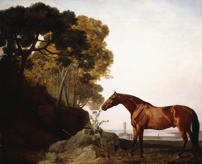 海岸の風景の中のベイアラブ、1779 作： George Stubbs