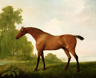 風景の中のベイ・サラブレッド 作： George Stubbs