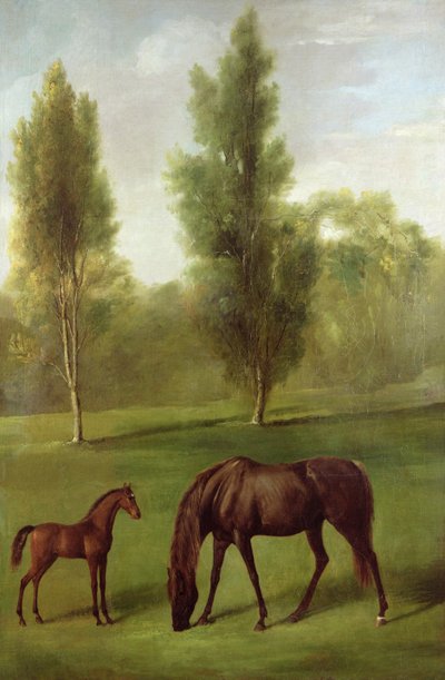 森の中の栗毛の雌馬と子馬」 1761-63年頃 （油彩・キャンバス 作： George Stubbs