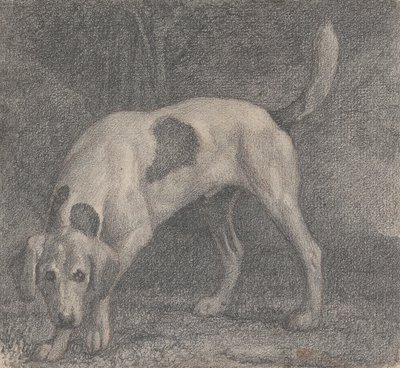 香りのフォックスハウンド 作： George Stubbs