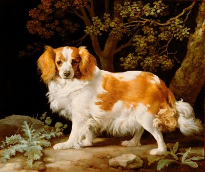 森の中のレバー＆ホワイト・キング・チャールズ・スパニエル 作： George Stubbs