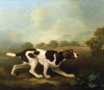 A Pointer」（油彩・キャンバス）（ペアは266117参照 作： George Stubbs