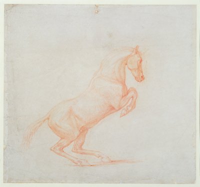 跳ね馬、右向き、1790（紙に赤いチョーク） 作： George Stubbs