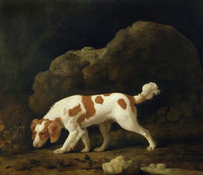 スパニエル」（油彩・キャンバス）（ペアの場合は266116参照 作： George Stubbs