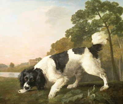 風景の中のスパニエル、1771 作： George Stubbs
