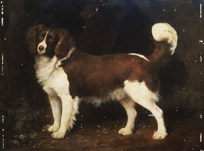 風景の中のスパニエル、1784 作： George Stubbs