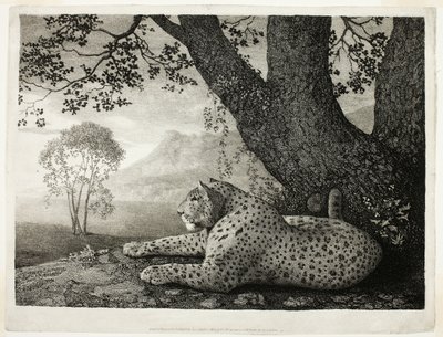 虎 (木のそばに横たわるヒョウ) 作： George Stubbs