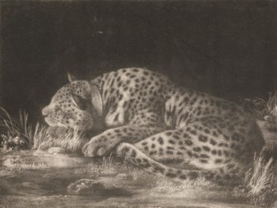 タイガー (スリーピング ヒョウ) 作： George Stubbs