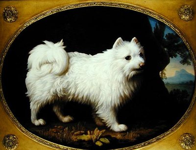 白いスピッツ 1770年頃 （エナメル磁器に油彩） 作： George Stubbs