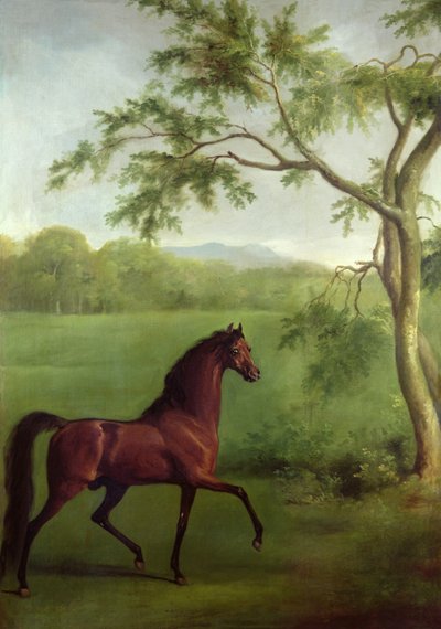 木の下のアラビアン・スタリオン」1761-63年頃（油彩・キャンバス 作： George Stubbs