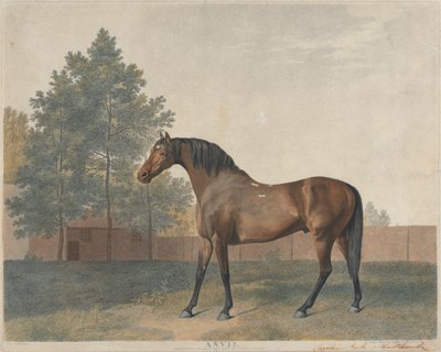 「アンヴィル」 作： George Stubbs