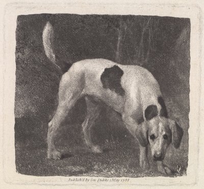 アーティスト、パブによって刻まれた犬（香りのフォックスハウンド）。 1788 作： George Stubbs
