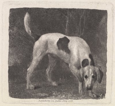 Cão [Um Foxhound no Cheiro] 作： George Stubbs