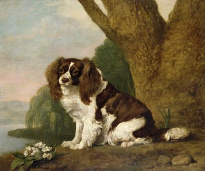 茶色と白のスパニエルのFanny 作： George Stubbs
