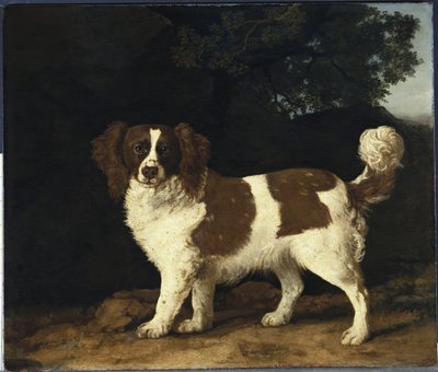 森の風景の中に立つマスターズ夫人のお気に入りのスパニエル、ファニー、1777 作： George Stubbs