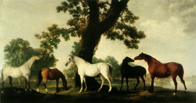 「ウィンザー グレート パークのカンバーランド公爵牧場にいる 5 頭の繁殖牝馬」、1765 年、1944 年。 作： George Stubbs