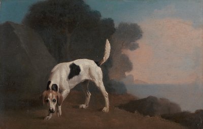 フォックスハウンド、香りのフォックスハウンド、ca。 1760年。 作： George Stubbs
