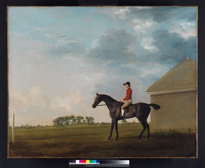 ジョンプラットとのギムクラック、1765年のニューマーケットヒース 作： George Stubbs