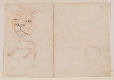 ライオンの頭、18世紀または19世紀 作： George Stubbs