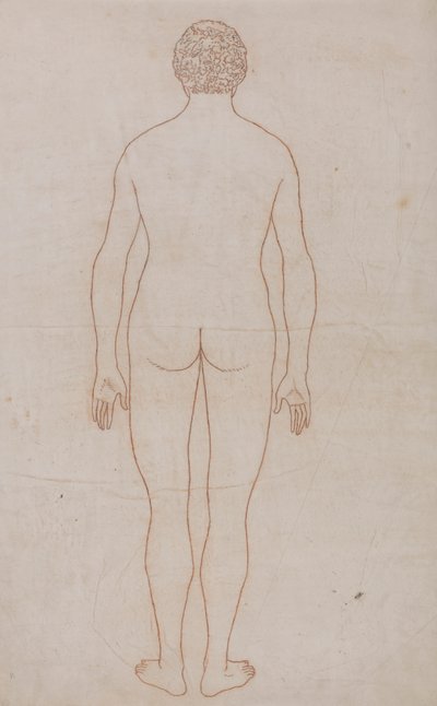 Corpo Humano, Visão Posterior (Esboço da Tabela VII) 作： George Stubbs