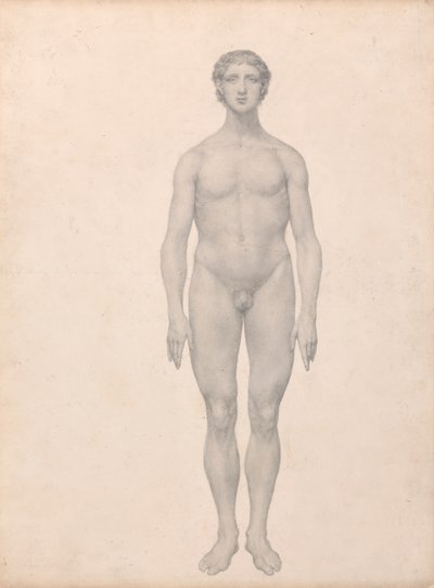 人間の姿、正面図、未解剖 (表 VI の研究終了) 作： George Stubbs