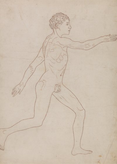 人体図、側面図 (表 VIII の逆の概略図) 作： George Stubbs