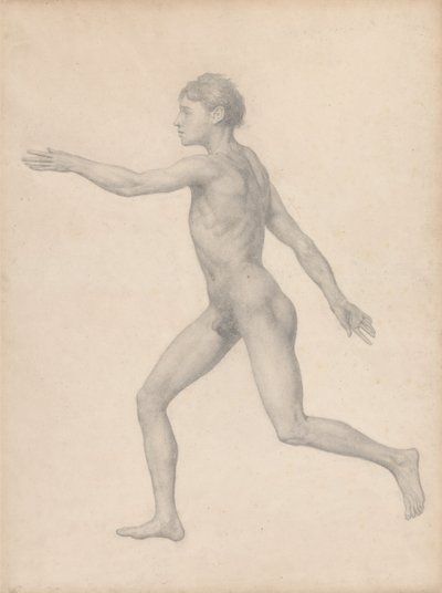 Ihmishahmo, sivulta katsottuna, leikkaamaton (valmiit taulukon VIII tutkimus) 作： George Stubbs