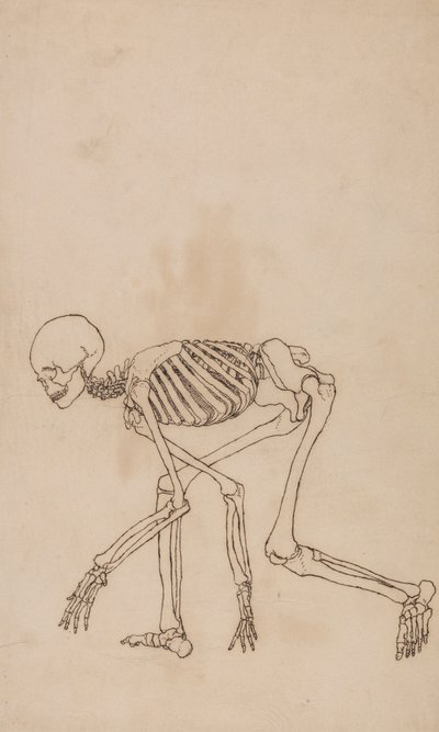 Human Skeleton, Lateral View   1433952   ja       japanese Successfully Translated  Original: Valle Crucis Abbey, Denbighshire Translat: Valle Crucis Abbey, Denbighshire 1441442 ja japanese Successfully Translated Original: Charles Lennox, 1st Duke of Rich 作： George Stubbs
