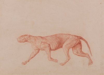 ヒョウの体、横から見た図 (別の大型ネコ科動物の 5 つの研究のうちの最初のもの) 作： George Stubbs