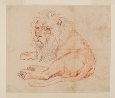 18世紀または19世紀のライオン休憩、直腸 作： George Stubbs