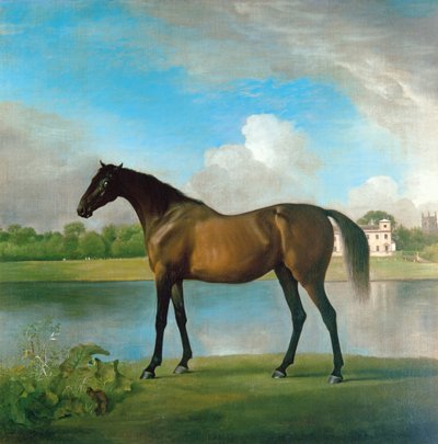 ボリングブローク卿の繁殖牝馬（ウィルトシャー、リディアード・パークの敷地内）1764-66年頃（油彩・キャンバス 作： George Stubbs