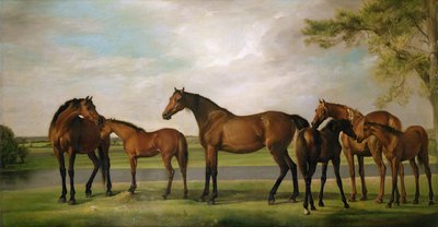 接近する嵐によって乱された牝馬と子馬、1764-66 作： George Stubbs