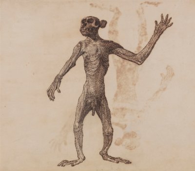 Monkey Standing, Anterior View   1434156   ja       japanese Successfully Translated  Original: Woman in Japanese Dress Translat: Woman in Japanese Dress 1431999 ja japanese Successfully Translated Original: Worshipping the Golden Calf Translat: Worshippin 作： George Stubbs