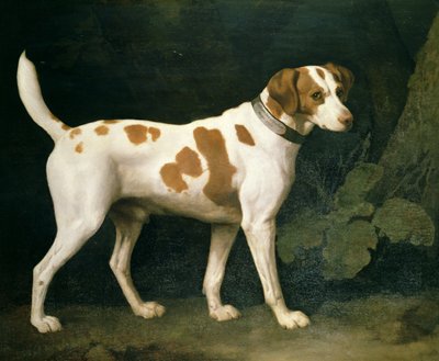 ウィリアム・ピットが飼っていたハウンドの肖像 作： George Stubbs