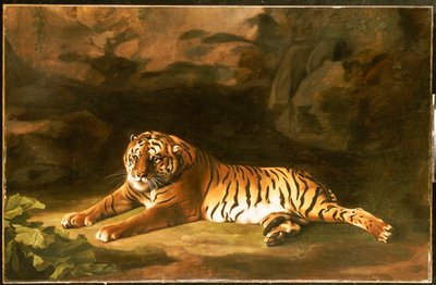 ロイヤルタイガーの肖像、1770年頃 作： George Stubbs