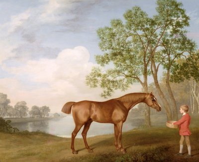 安定した若者のカボチャ 作： George Stubbs