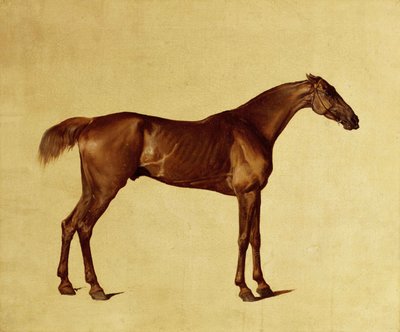 ルーファス（キャンバスに油彩） 作： George Stubbs