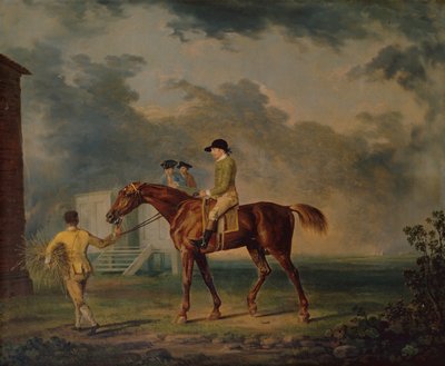 サロモン卿、ニューマーケットの J.Singleton と湾の競走馬 (キャンバスに油彩) 作： George Stubbs